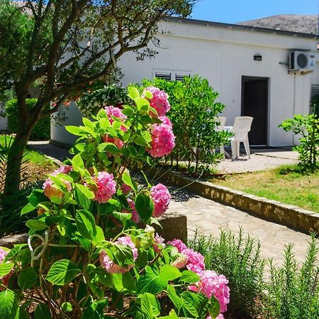 Apartmant Prosika Pag Town Kültér fotó